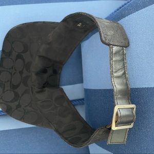 Coach visor